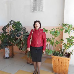 �����, ���������, 64 ����