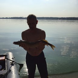 ���� �����, ������, 56 ��� - ��������� 21 ������� 2016