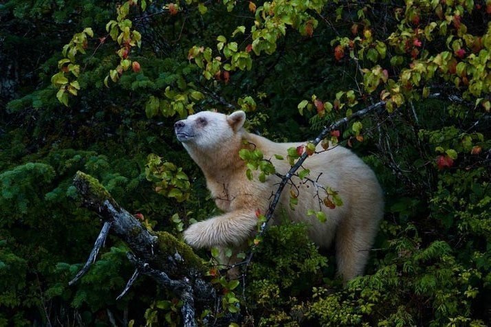 -   ,  .#animal@travel.blog - 9