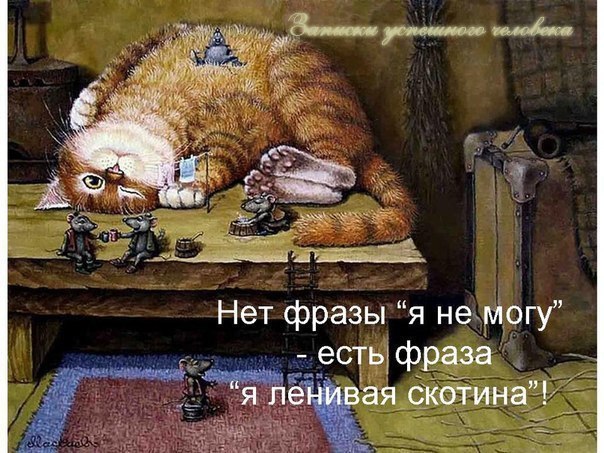   |   ! - 5  2016  19:52