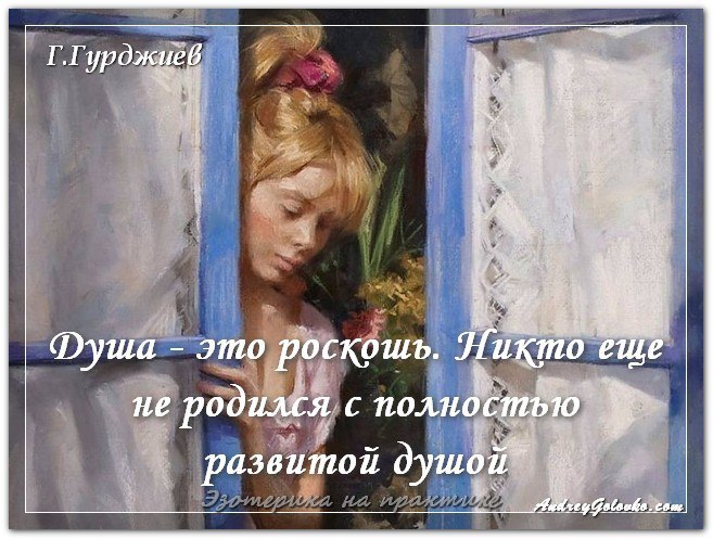   TV - 24  2016  01:01
