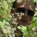 ���� ���������, ������, 43 ���� - ��������� 17 ����� 2016 � ������ ���� ����������