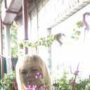 ���� ��������, ������, 49 ��� - ��������� 26 ��� 2016