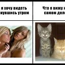 ���� ������, ��������, 47 ��� - ��������� 6 ��� 2016 � ������ ������ ��������