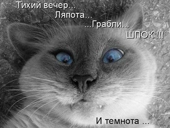 ***Victoria Viktorovna*** - 7  2016  16:34