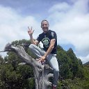 ���� ������, �������, 40 ��� - ��������� 24 ���� 2016 � ������ ���� ����������