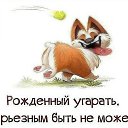 ���� �������, ���� - ��������� 30 ������� 2016 � ������ ���� ����������