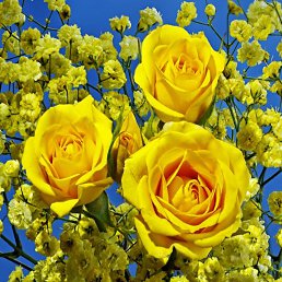 ���� ���������, ���������, 60 ��� - ��������� 6 �������� 2016