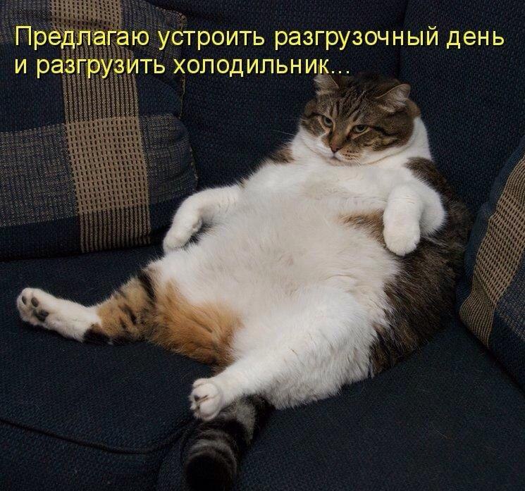       - 28  2016  23:31