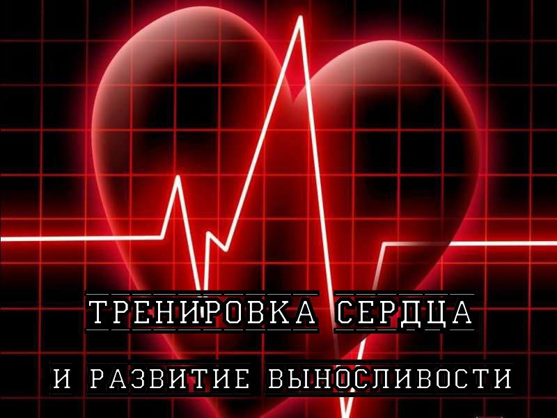 Тренировка сердца и развитие выносливости.Самая главная мышца нашего тела, это не бицепс, и даже не ...