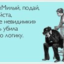 ���� ���� ����������, ������, 81 ��� - ��������� 1 ���� 2016 � ������ ������ ��������