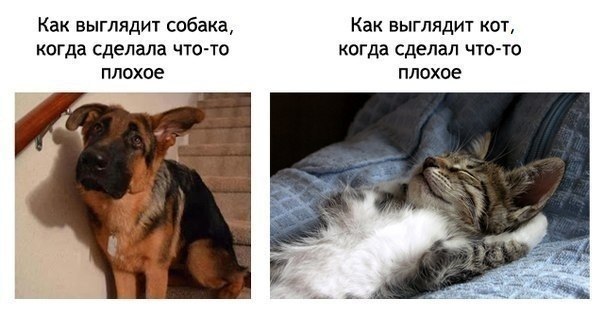   - 17  2016  12:30