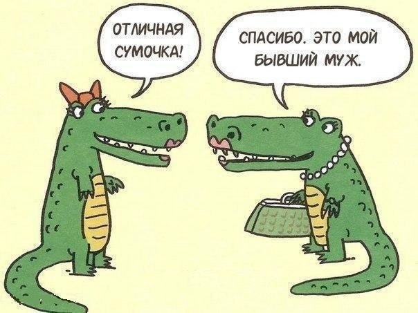  - 5  2016  18:16