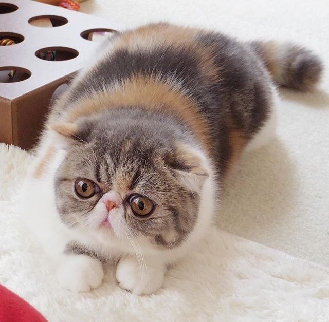  :3 - 3