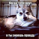 ���� �����, ������, 57 ��� - ��������� 18 ������ 2016 � ������ ���� ����������