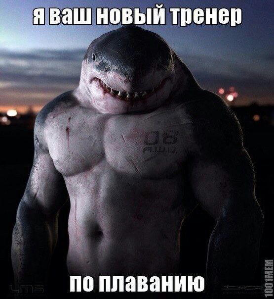    :D - 8  2016  02:33