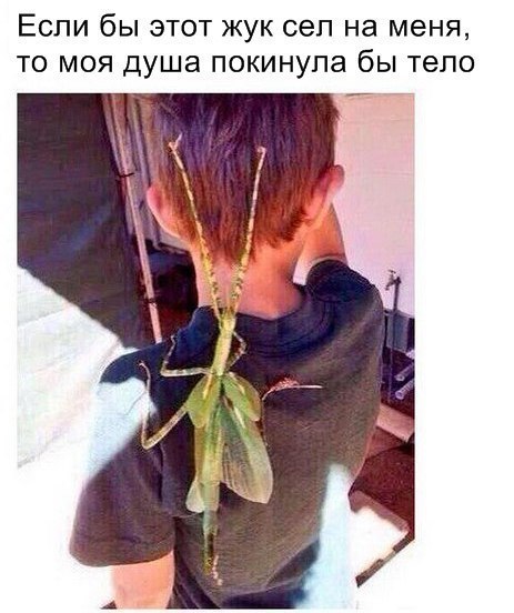 �������� ���� - 16 ����� 2016 � 20:08
