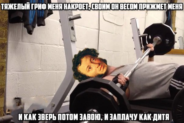  -   - 12  2016  21:27