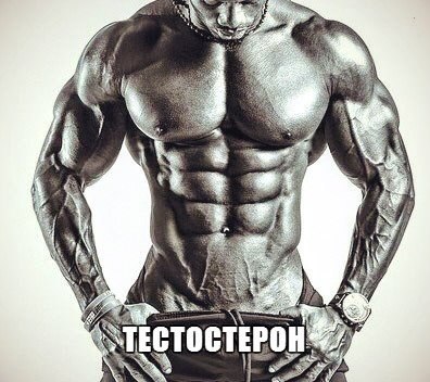 ПРОДУКТЫ ПОВЫШАЮЩИЕ И ПОНИЖАЮЩИЕ УРОВЕНЬ ТЕСТОСТЕРОНА. Продукты питания, ПОНИЖАЮЩИЕ уровень ...