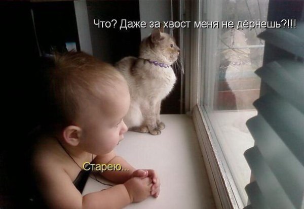    - 7  2016  11:17