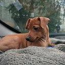 ���� �������, �����-���������, 62 ���� - ��������� 21 ���� 2016 � ������ ���� ����������