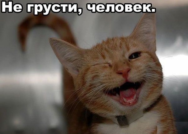    -   - 17  2016  20:45