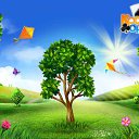 ���� ����, �������, 54 ���� - ��������� 15 ��� 2016 � ������ �������� �������-�������