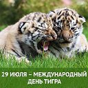���� ������, �������, 39 ��� - ��������� 29 ���� 2016 � ������ ������ ��������