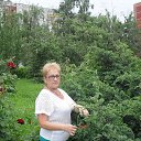 ���� �������, ���������, 69 ��� - ��������� 17 ���� 2016 � ������ ���� ����������