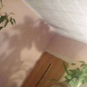 ���� ������, �����-���������, 36 ��� - ��������� 19 ���� 2016