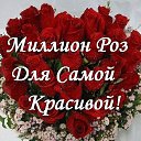 ���� �������, ���������� - ��������� 14 ��� 2016 � ������ ���� ����������