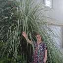 ���� �������* ���� �� ����� - ������� !!!! ����� ���� ������ ������ !!!! ������� � ��������.... ����������-�������� !!!!!!!!!!!!!!!!!!!!!!, �����������, 68 ��� - ��������� 10 ������� 2016 � ������ ���������� ��� � ��������� !!!!�