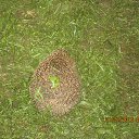  , -, 57  -  3  2016     !!!