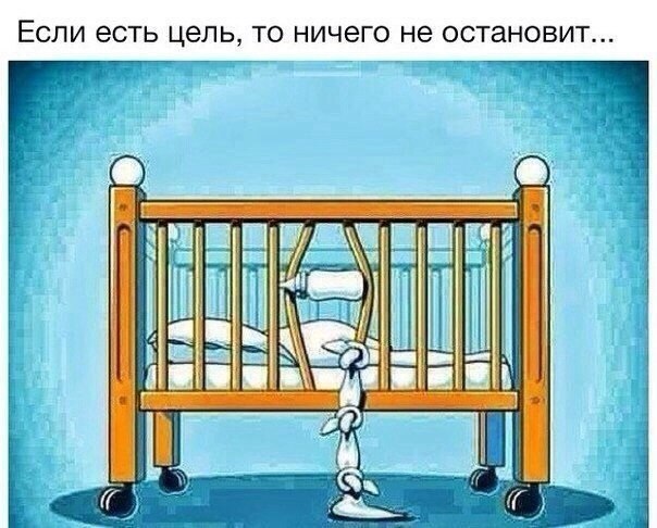 SportFeed - 5  2016  20:02