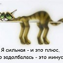  ,  -  7  2016    