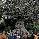 ���� ������, ������������ - ��������� 12 ��� 2016 � ������ ������ ��������