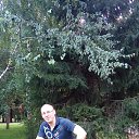 ���� �������, �����������, 36 ��� - ��������� 1 ������� 2016 � ������ ���� ����������