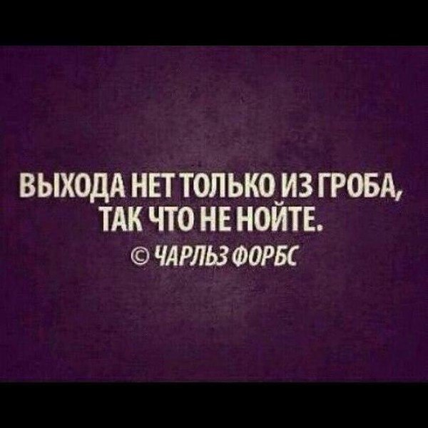 BEST | , ,  - 15  2016  08:35