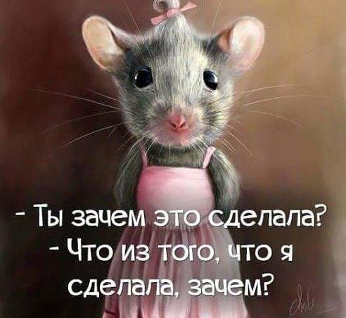 За деньги счастья не купишь, но можешь купишь винишко, мороженко, новое белье и фруктовый крем для ...