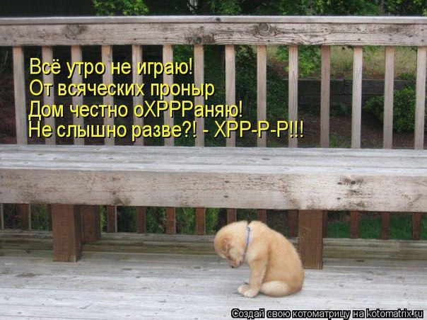   - 22  2016  23:15