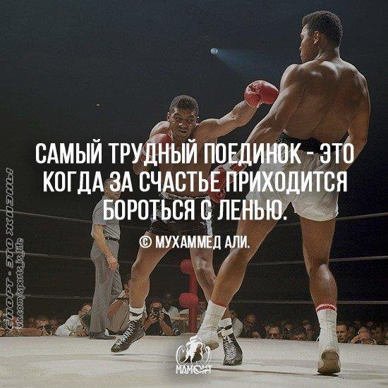  -   - 16  2016  09:53