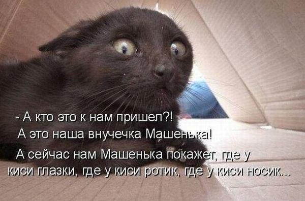    :D - 17  2016  16:31