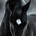 ���� ����������, ������� ���� - ��������� 23 ���� 2016 � ������ ������ ��������