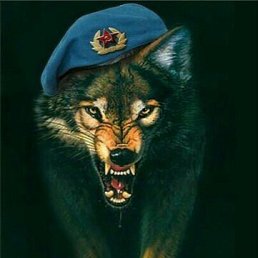 ���� ��������, ������, 61 ��� - ��������� 11 ���� 2016