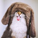 ���� ������ ����� ��� ������_ �������� ����� � ������_ �� �� ������ ����... ������ ���� � ����� ������������� "����" �� ������� ���� ����������