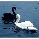 ���� Andre, ������ - ��������� 7 ���� 2016 � ������ ���� ����������