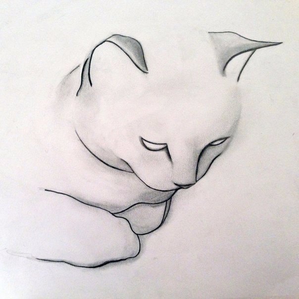   .  Kellas Campbell.