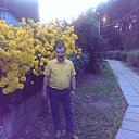 ���� ������, �������� - ��������� 12 ������� 2016 � ������ ���� ����������