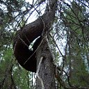 ���� ������, �����, 65 ��� - ��������� 2 �������� 2016 � ������ ������ �������� 2015�.�