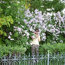 ���� Svetlana, ������ - ��������� 5 ���� 2016 � ������ ���� ����������